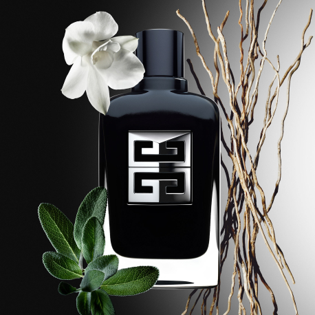 GIVENCHY Gentleman Society Coffret - Eau de Parfum